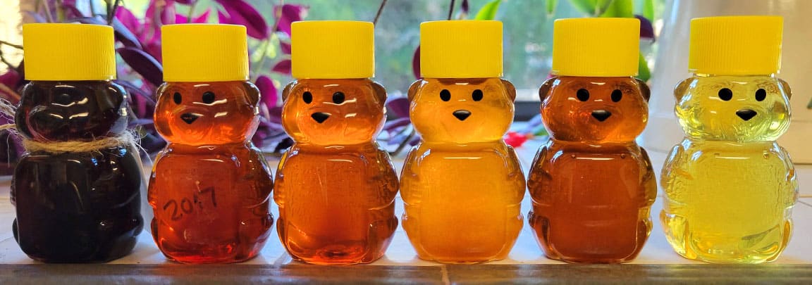 6 bottles of honey