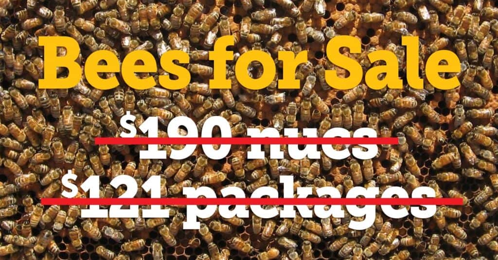 bees for sale
