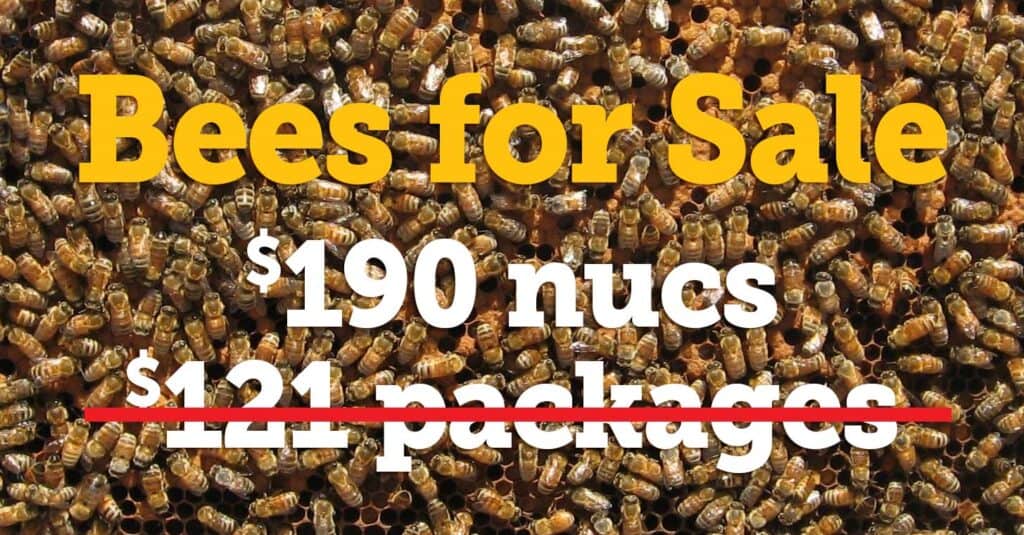 bees for sale