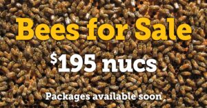 2022 bees for sale nucs only