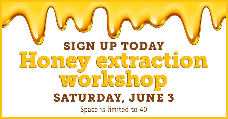 2023 honey extraction workshop