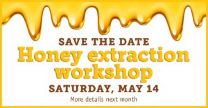 honey extraction workshop 2022