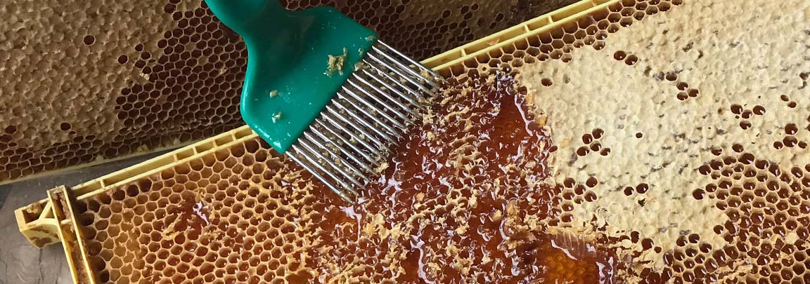 uncapping honey frame