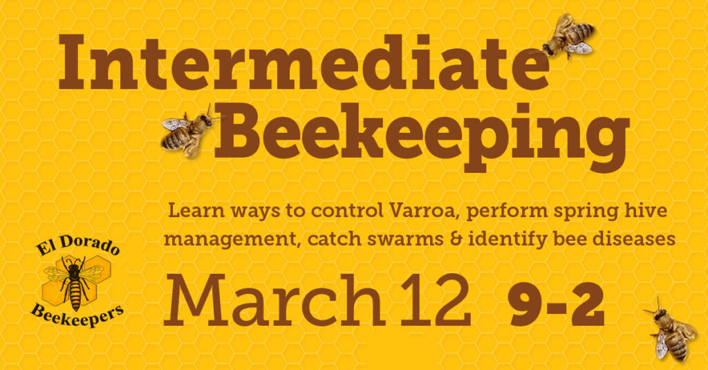 intermediate beekeeping 2 26 22